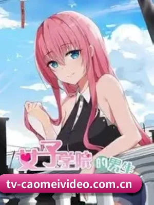 🎬 我们的内容方向